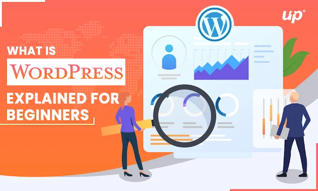 What Is WordPress? Explained for Beginners
