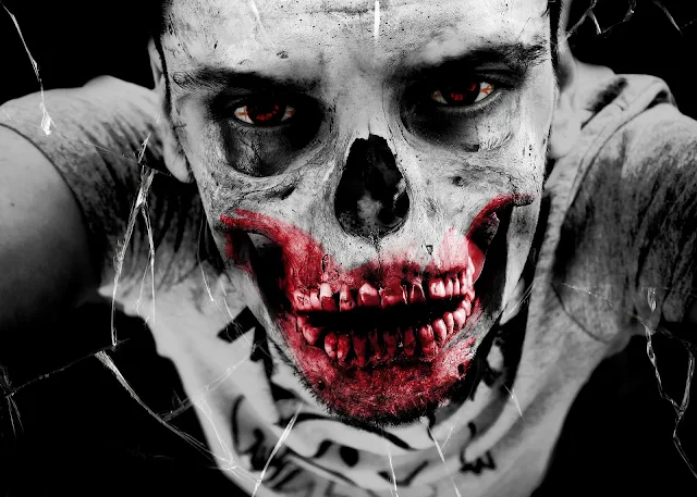 Recommended Zombie Book for Horror Readers Recommended Zombie Book for Horror Readers